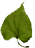 �t����
