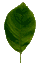 �t����