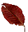�͂�t
